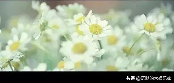 韩国10部哭到崩溃的爱情电影,姐弟恋必看十部韩国电影