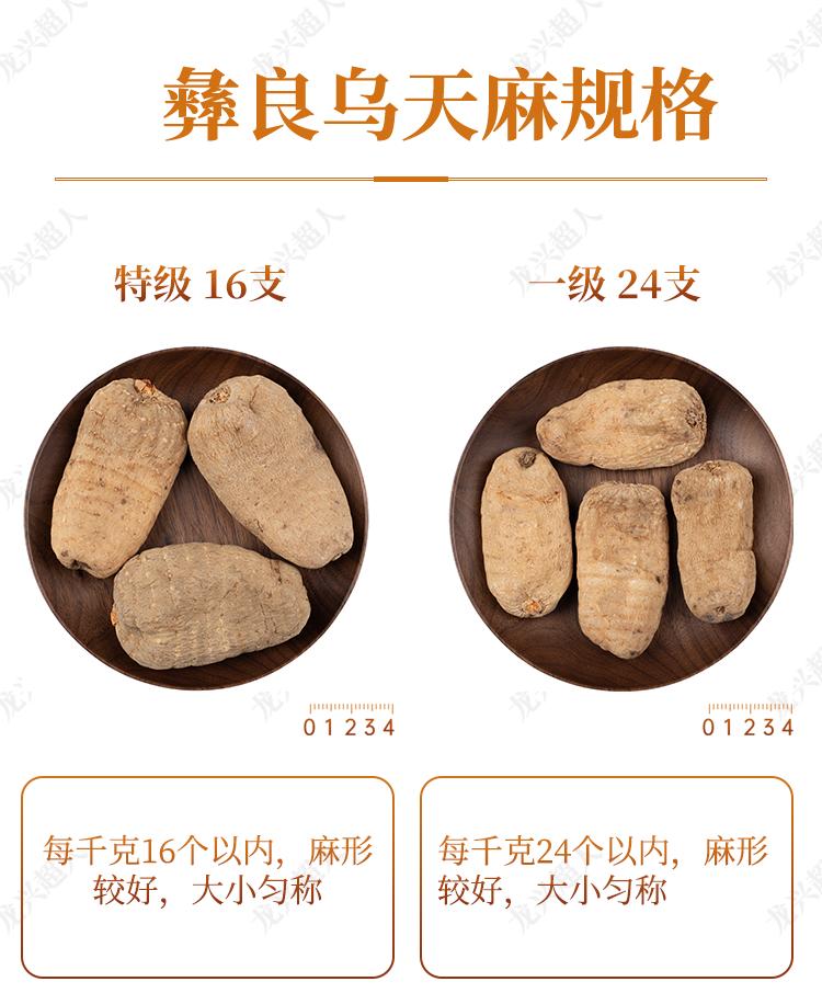 贵州的道地药材天麻,天麻属于哪里的道地药材