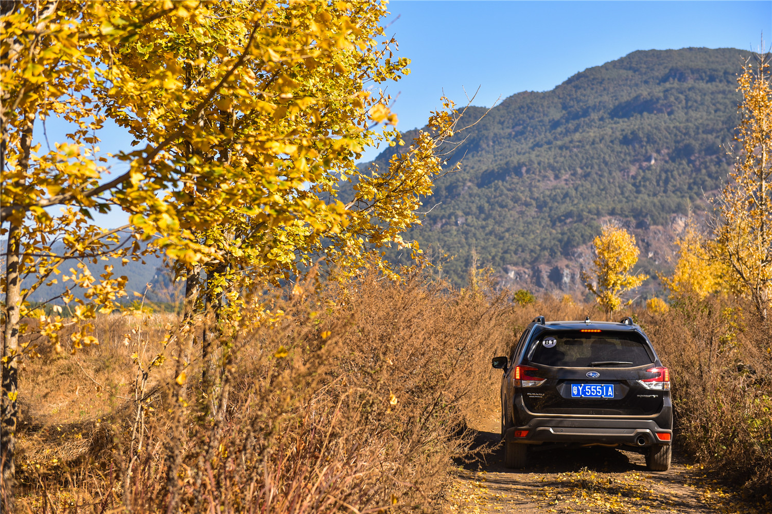 2.0自吸cvt的车能买吗,2.0cvt森林人