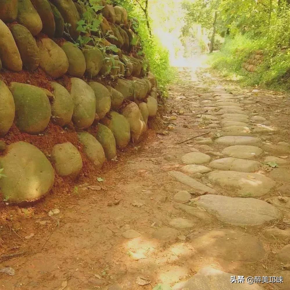 为什么有的人投资眼光很准,为什么越来越多的资本想投资酱酒