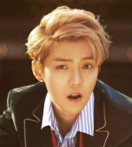 鹿晗的应援物都有哪些,鹿晗粉丝应援有多炸裂