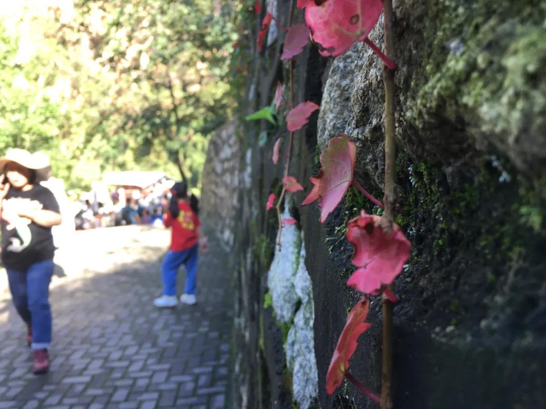 青龙峡风景区秋景,欣赏青龙湖美景