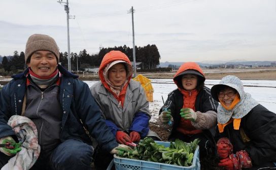 日本农协如何,日本农协为什么厉害