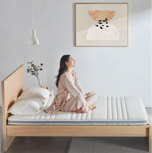 椰棕床褥十大排行,椰棕床垫十大品牌排名