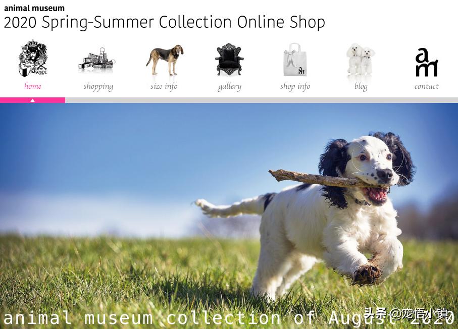 比较出名的宠物网站排名大全,国内外知名宠物品牌排行表