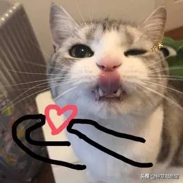 面膜上的黑名单是什么,你的面膜是不是白敷了