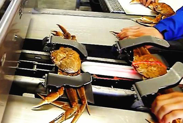 如果说蟹棒也拼爹，别被“蟹”字迷惑，或许你正在吃另类“土豆”