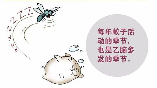 蚊子能传播疟疾，为何不能传播艾滋？一文解除蚊子传播艾滋的担忧