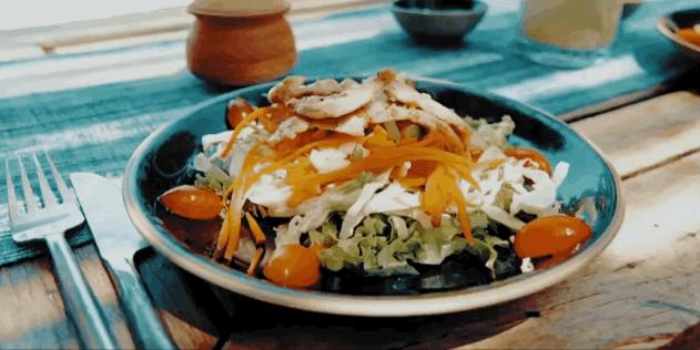 恋恋丽贝岛,人狗情未了|KohLipe