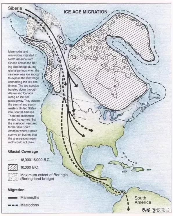 羊驼与驼羊区别,羊驼和驼羊分别是什么杂交的