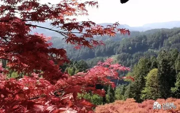 重庆爬山推荐险峻,重庆峭壁悬崖景区
