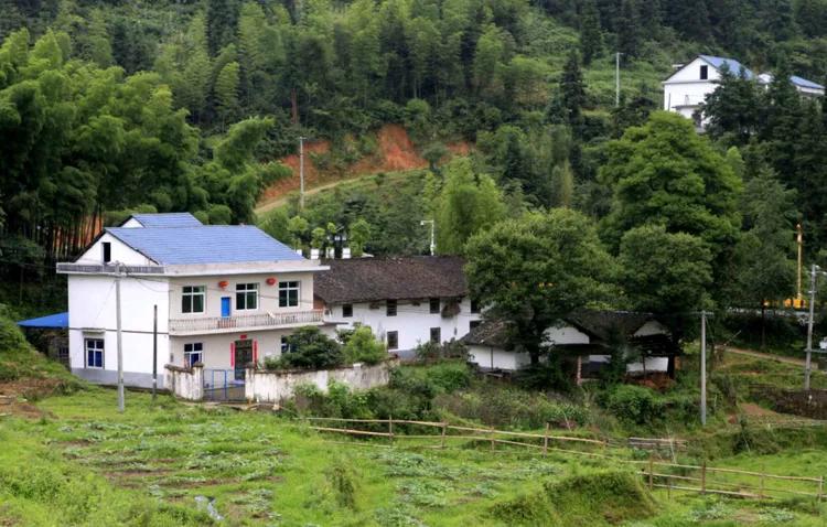 鐣呮父榛勬睙,榛勬睙鐣呮父涓浗