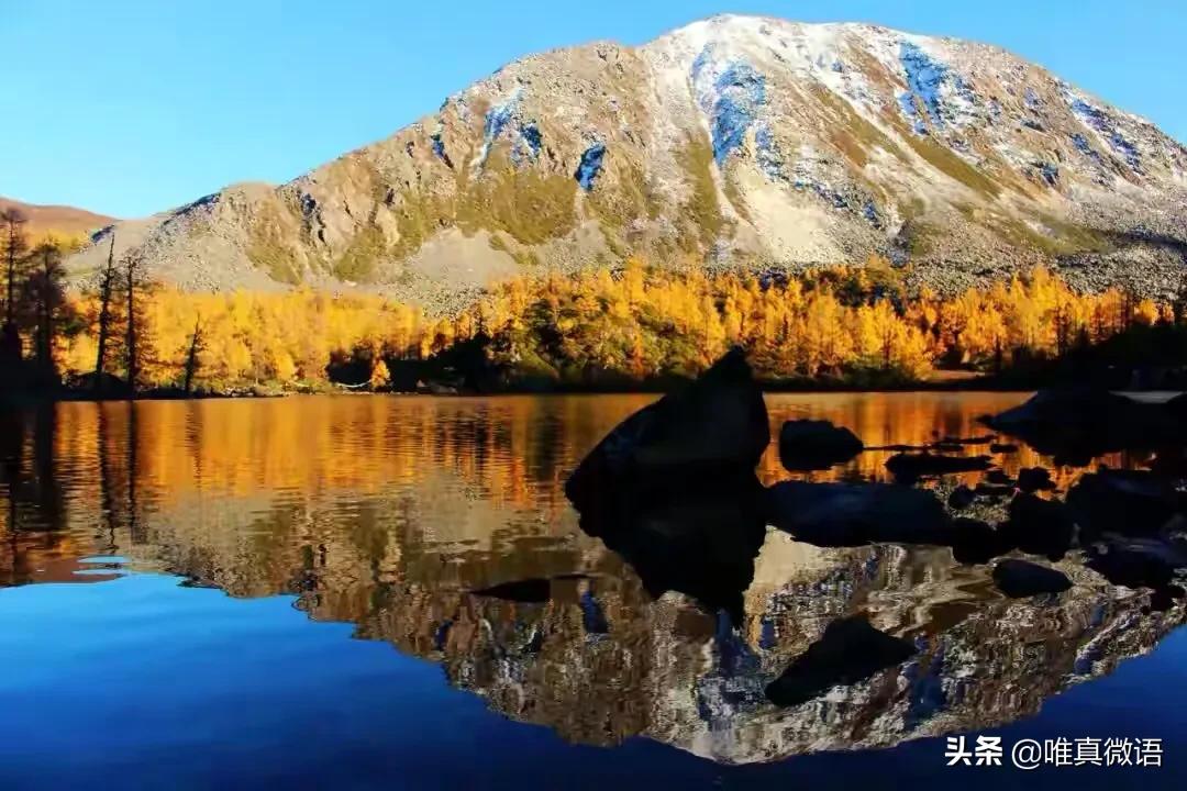 《小论集》之144——睿智小论