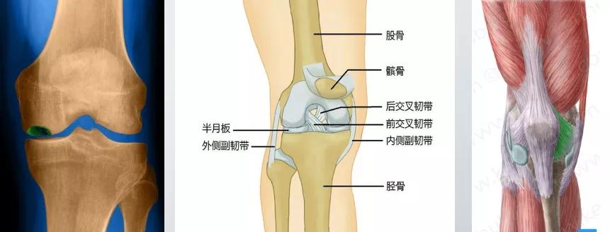 全身关节都有毛病怎么治,膝关节为什么会发炎