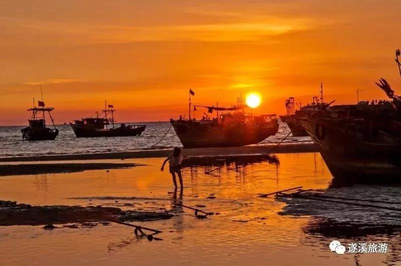 7月份的湛江海边有什么海鲜,湛江开海哪里海鲜便宜