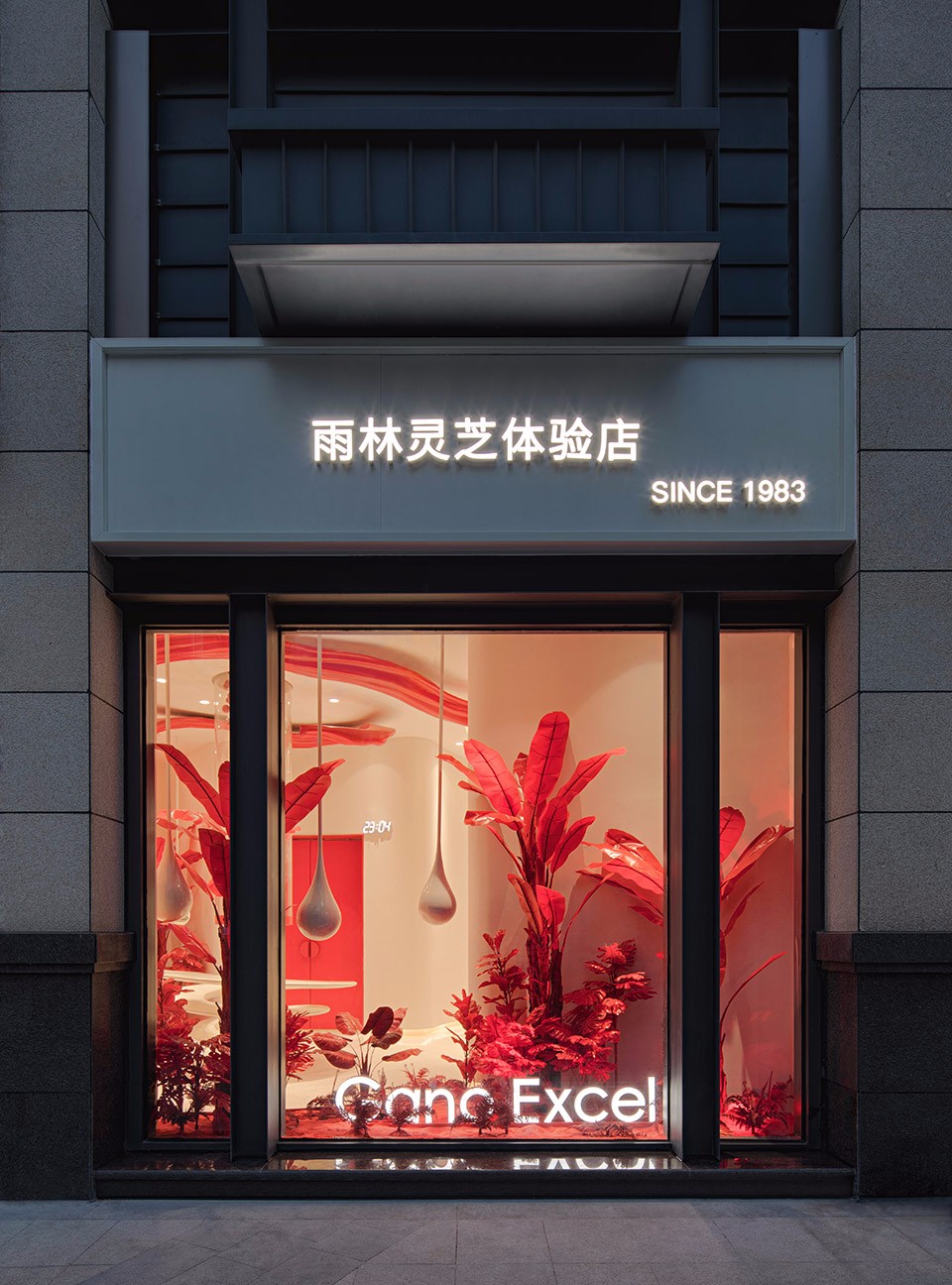 深圳雨林休闲食品,深圳灵芝养生馆