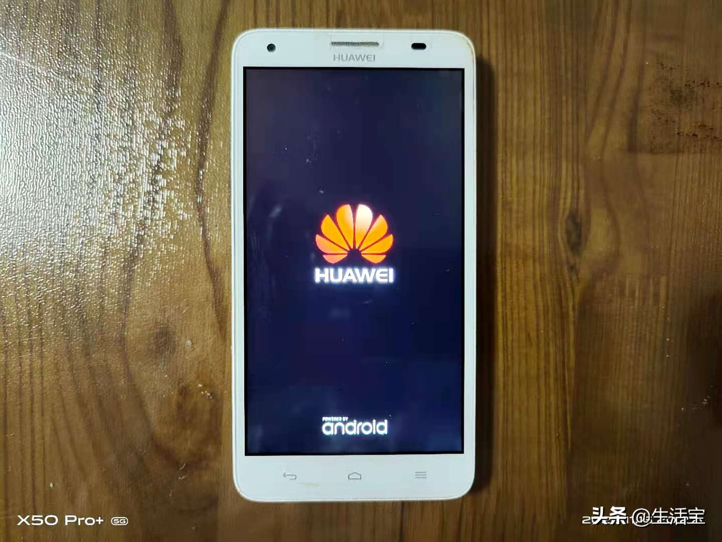 鍗庝负鑿婅姳logo,鍗庝负鑿婅姳鏍囧織