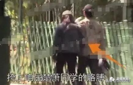 陈数和老公接吻照片,陈数老公回应搂抱年轻女子