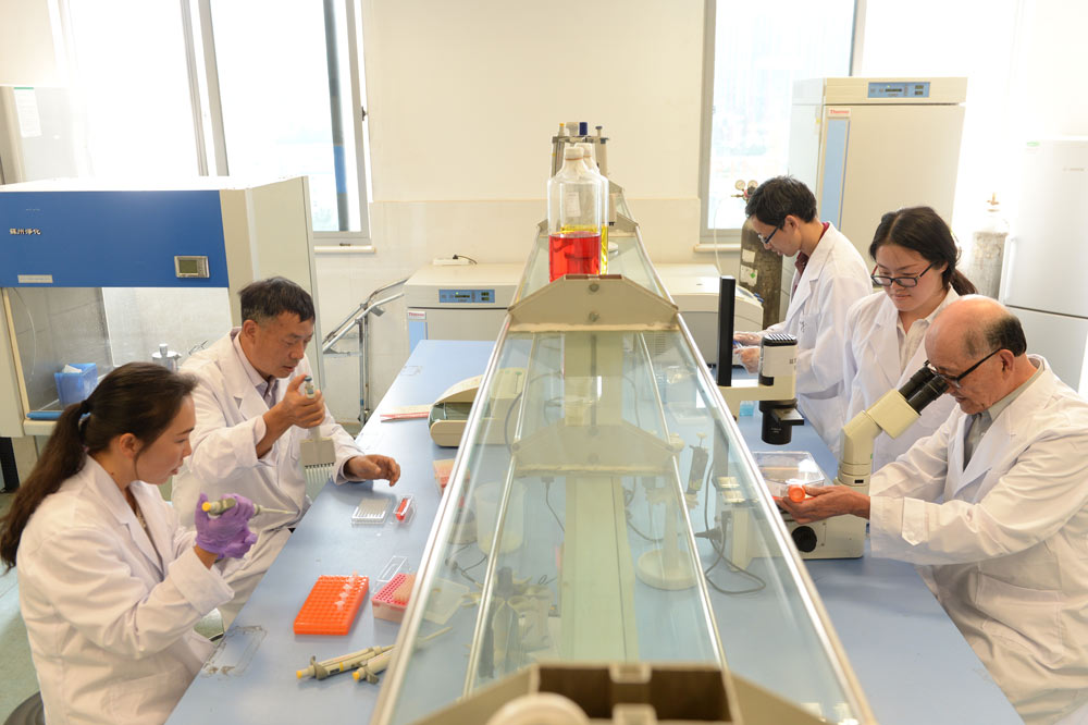 东方神草中华瑰宝,中国神草纪录片