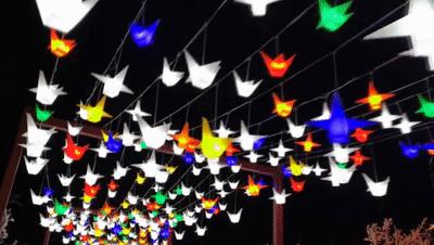 吉林延边旅游攻略,吉林延边旅游攻略亲子游