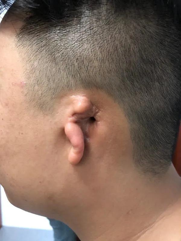 我有一个美丽的愿望伴奏,我有一个美丽的愿望原版