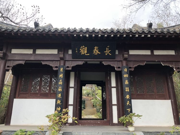 临沭冠山银杏树,临沭冠山道教