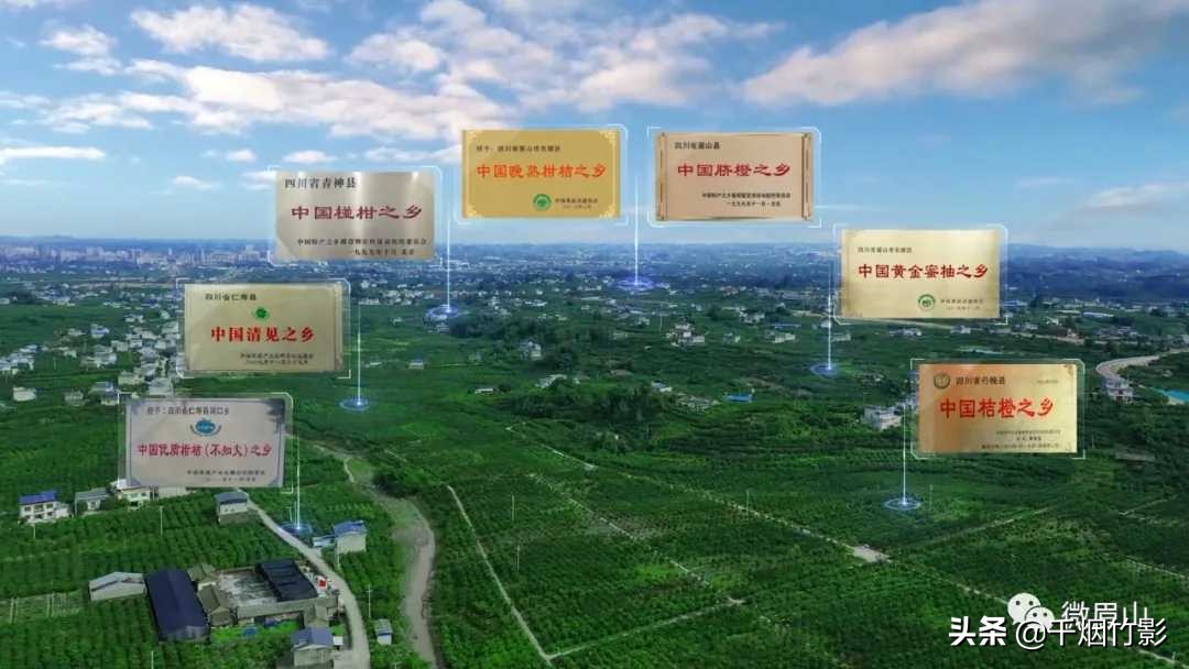 不知火春见,不知火丑橘春见