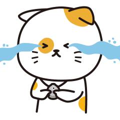 仅8.2%的猫粮符合标准！你是个合格的铲屎官么？