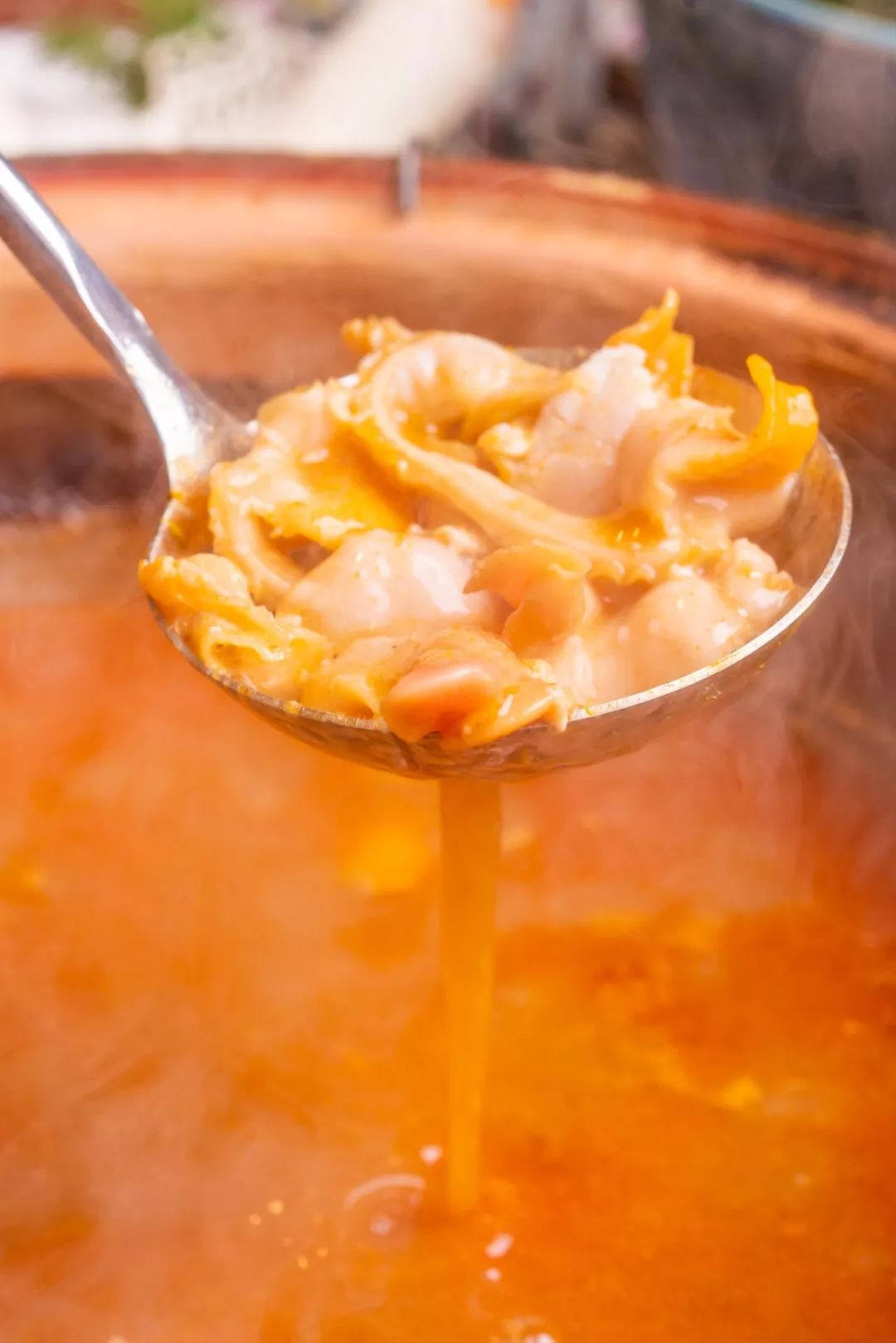 排爆新天地!魔都港式火锅界杀出黑马,开卖「澳洲青龙黄金锅」