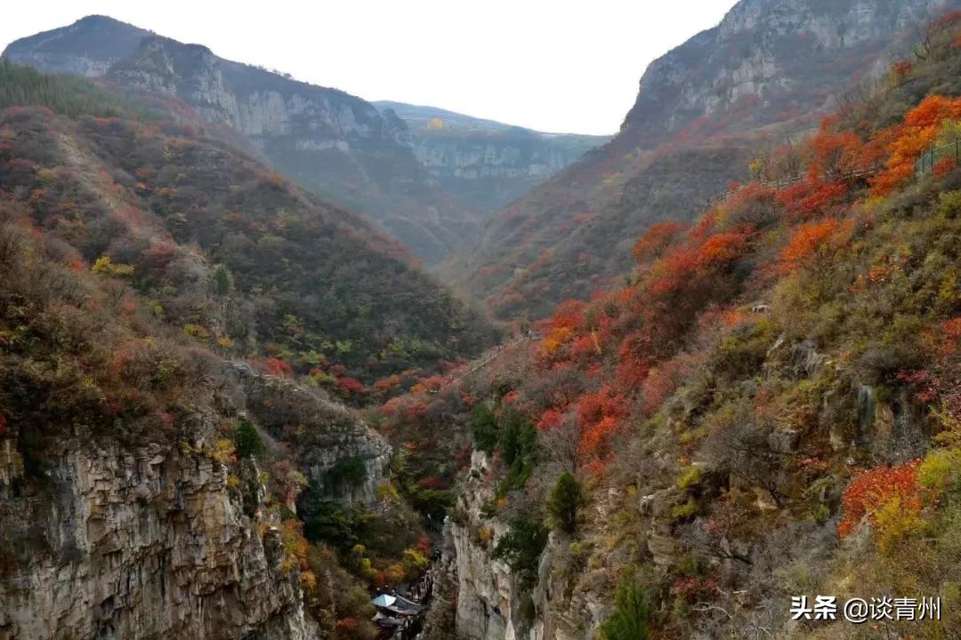 青州蜜三刀在哪,青州一个人去什么地方玩