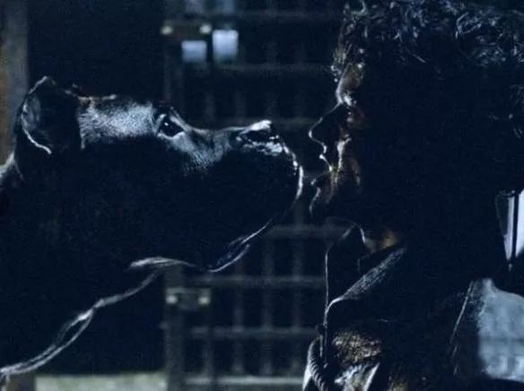 最骚死法都在这了,这是编剧权力的游戏