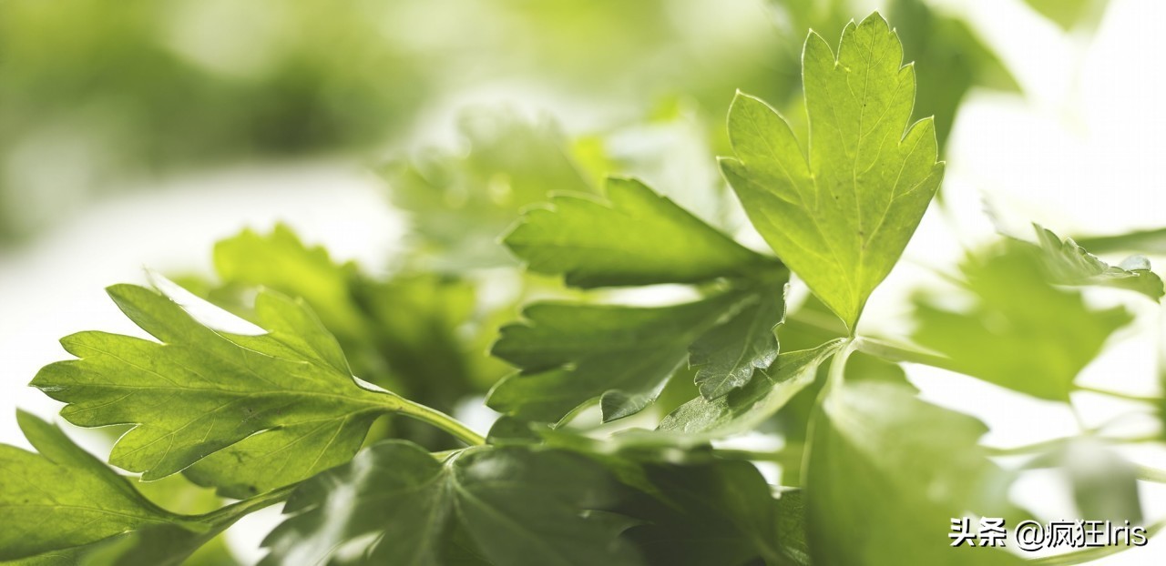 英语作文环境保护类100字,英语作文环境保护倡议书