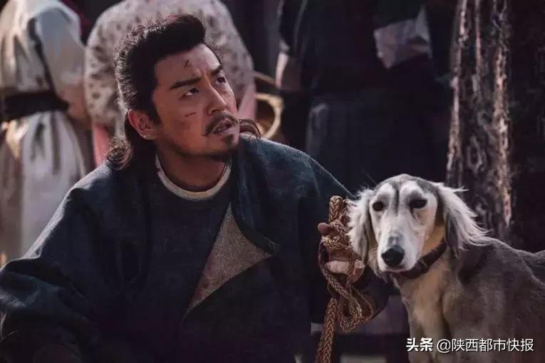 “长安一日”追剧一夏流量长安不如流浪长安