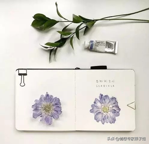 情感咨询|栗子姐每日情感问答(0731)