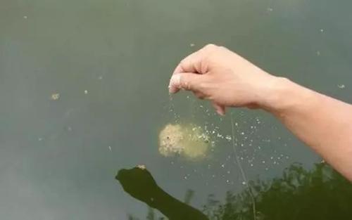 小药用对了是在诱鱼,用错了就是在赶鱼