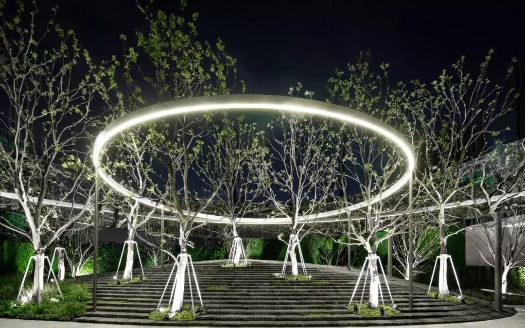 当景观遇上设计,当景观植物遇见灯光
