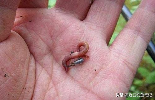 春季钓鲫技巧和方法,冬钓鲫的最佳调钓方法