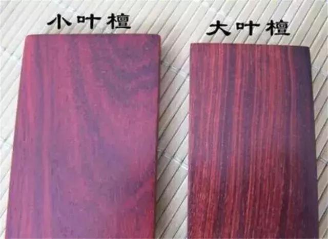 大叶黄花梨是什么样的,大叶黄花梨和白酸枝