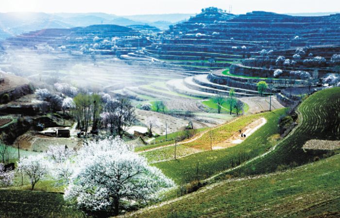 兰州小学生班会,记忆最深的一次班会