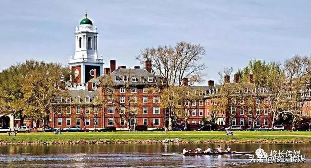 清华教授评价孩子学习,清华评价哈佛教育