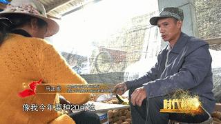 人民大会堂推销土豆,收1500个农民学生,10亿专利无偿送出,64岁的农民院士朱有勇火了!