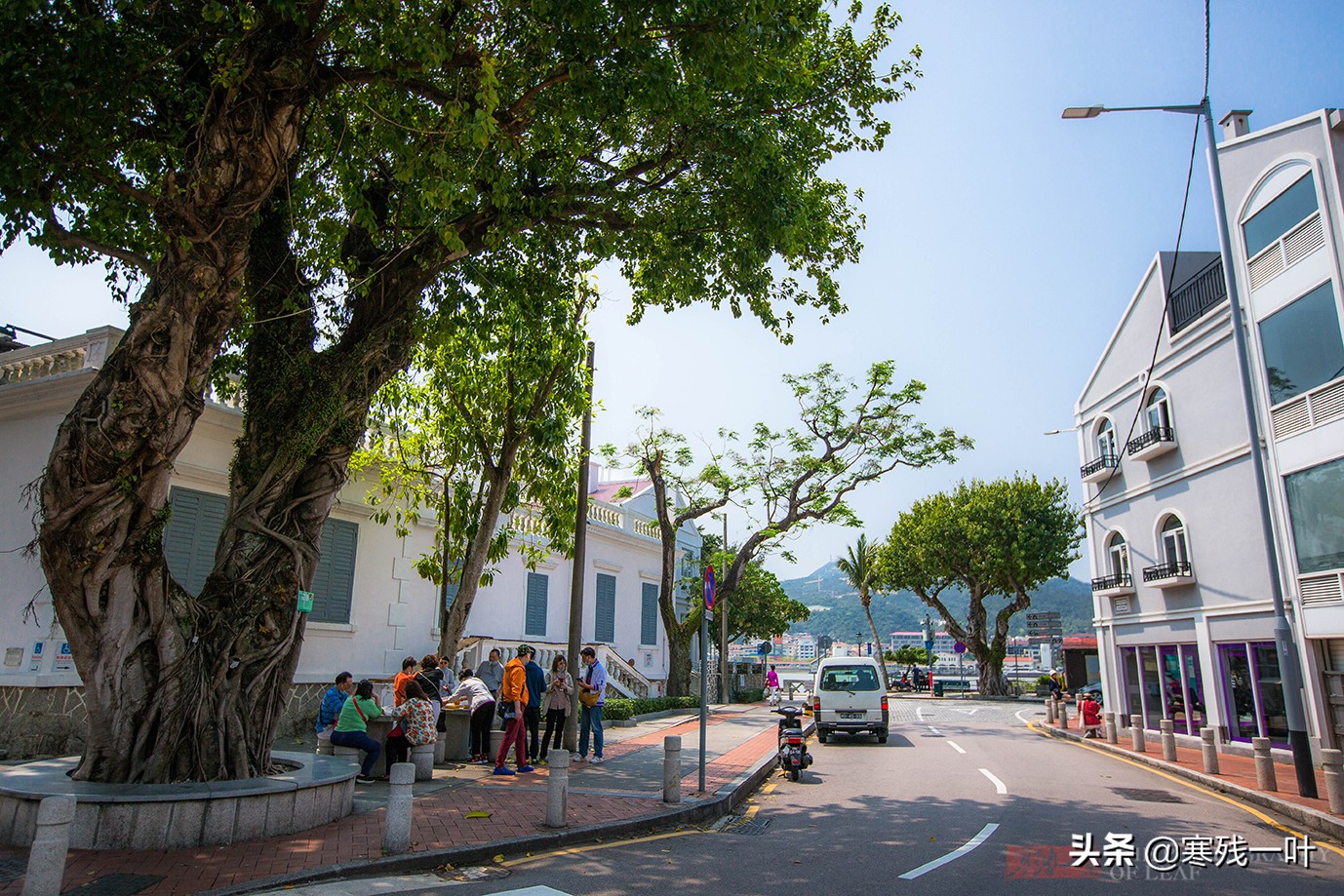 澳门小吃街葡式蛋挞,澳门特色美食之葡式蛋挞