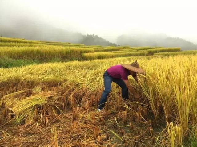 广东旅游攻略自驾游最佳路线,广东旅游攻略自驾游带孩子三天