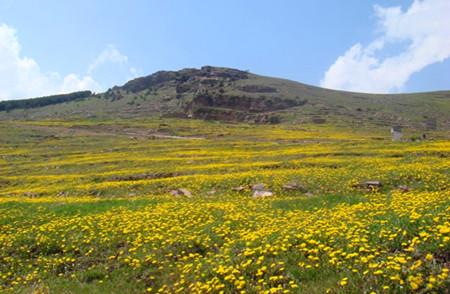 锦绣晋都风情偏关怎么过,锦绣晋都风情上党