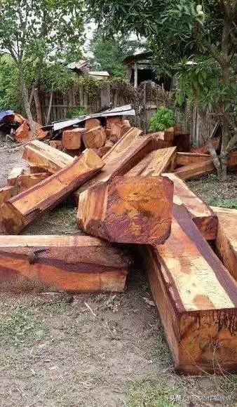 你买的红木真的便宜吗,东阳缅花家具价格一览表