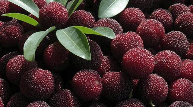 云南十六个州市的代表特色菜,云南省16州市特产排名