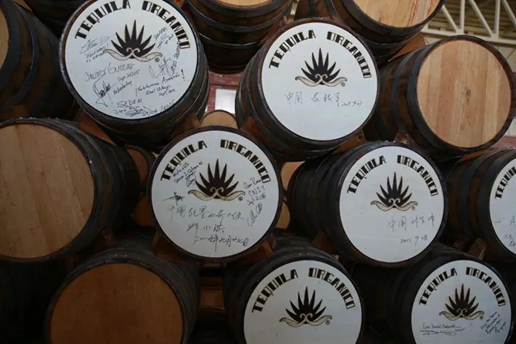 榫欒垖鍏伴┈鏂厠,椹柉鍏嬮緳鑸屽叞