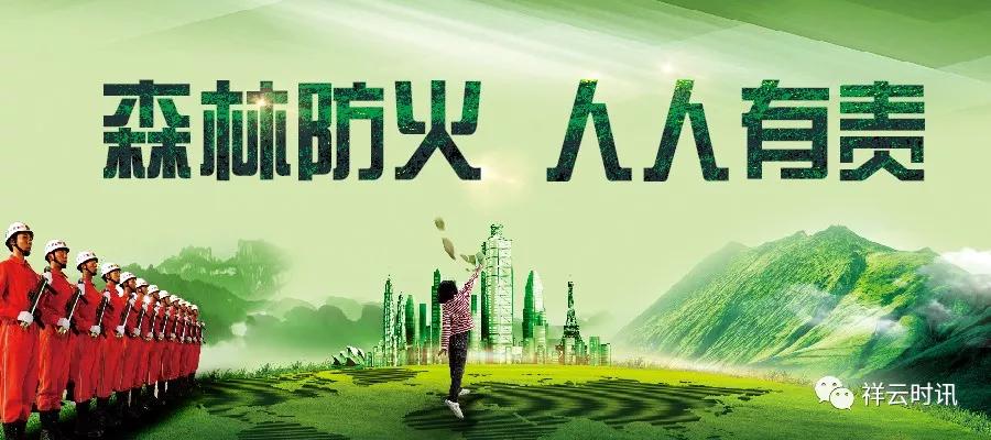 刘晓艳人大代表履职先进事迹,劳动者风采模板