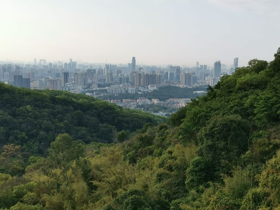 四面青山皆入画羊城无日不飞花白云山游记