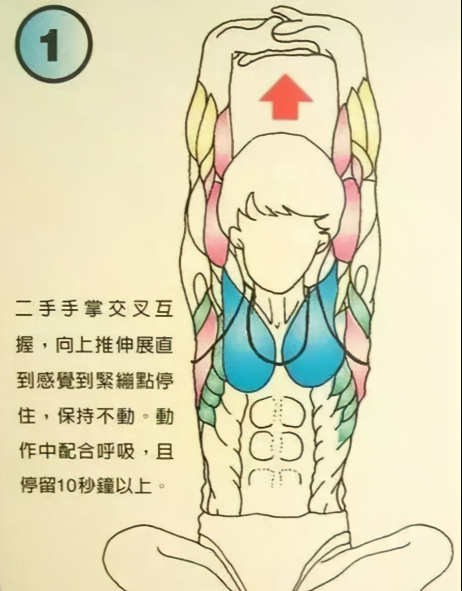 打羽毛球如何拉伸热身,打羽毛球前拉伸动作热身